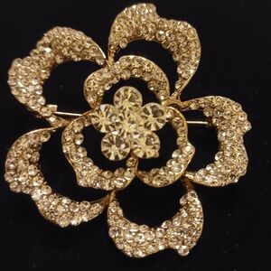 Rhinestone and Goldtone Brooch